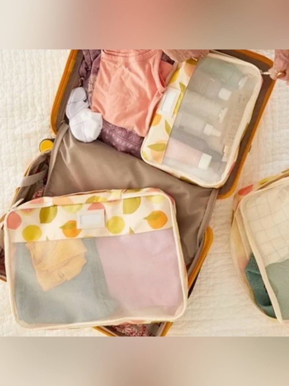 New Calpak Packing Cubes Travel Vacation Set Of 3 In Citrus Fruit Print